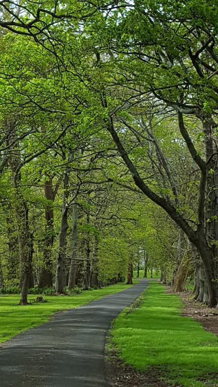 Oak Lane Lodge Хамилтън Екстериор снимка